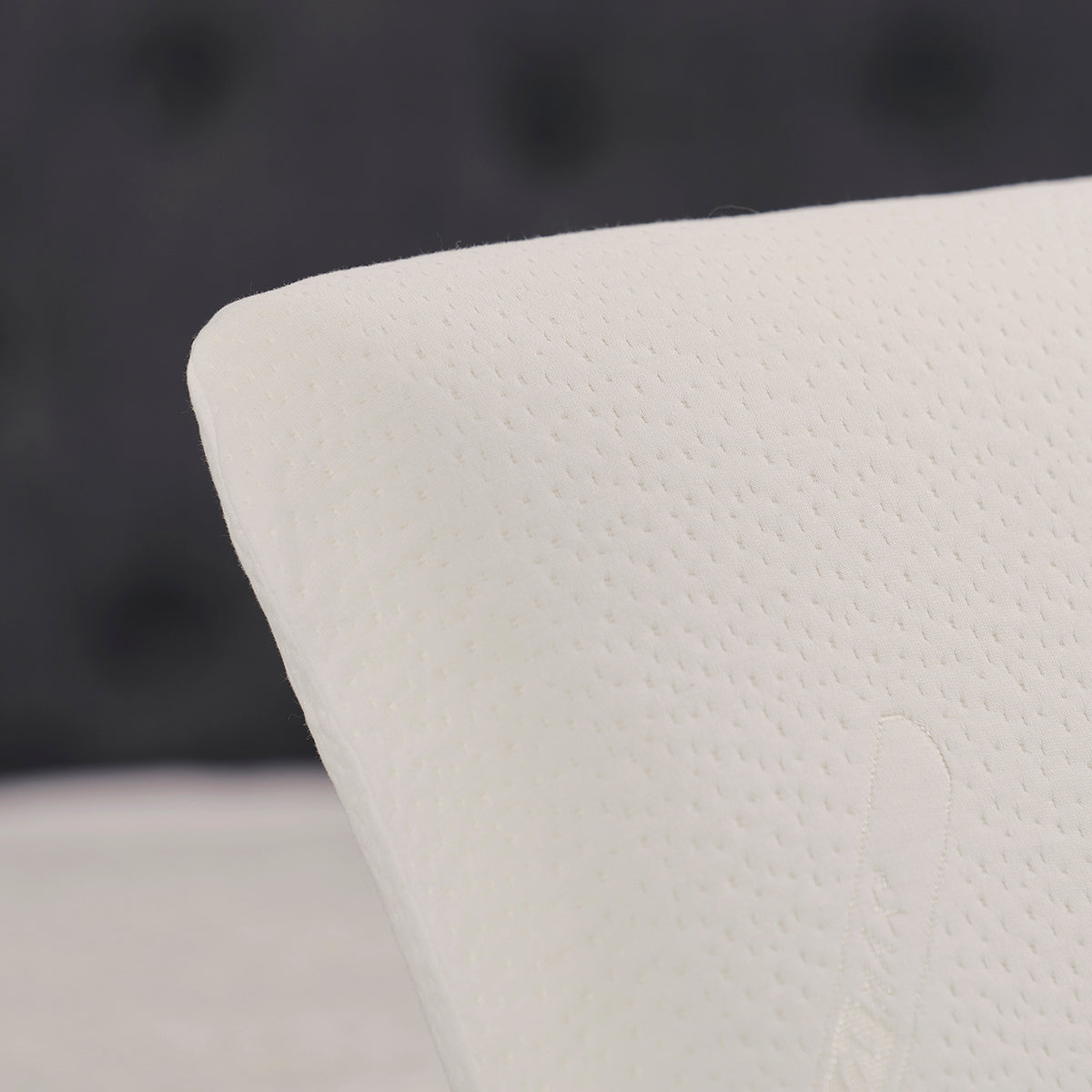 Comfortech Coolmax Memory Foam Pillow