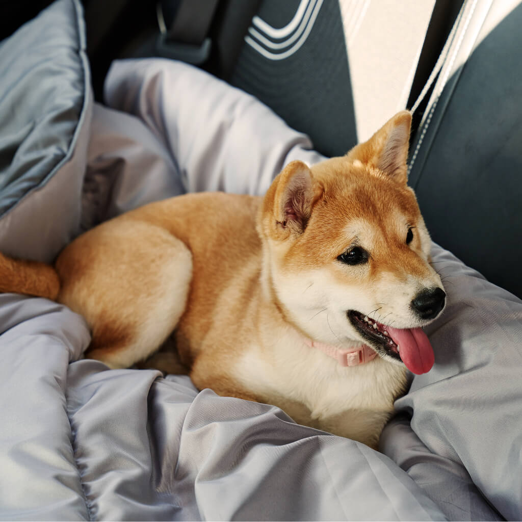 Doggy Doona