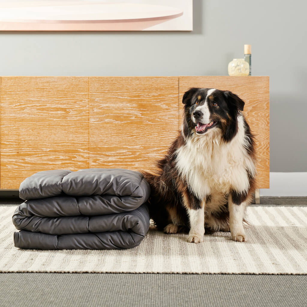 Doggy Doona