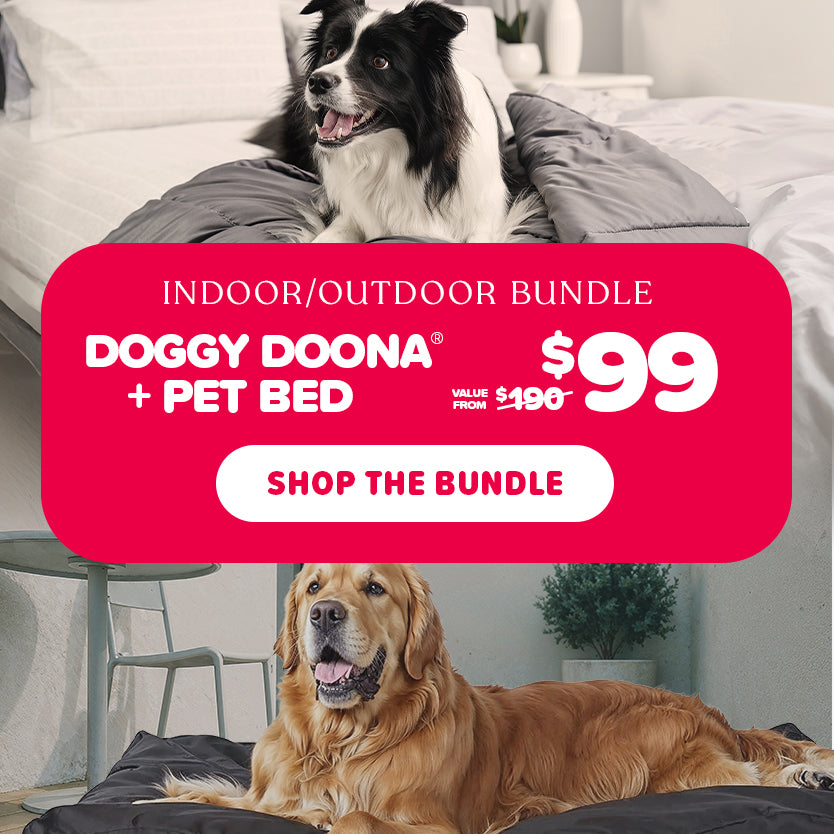 Indoor/Outdoor Bundle