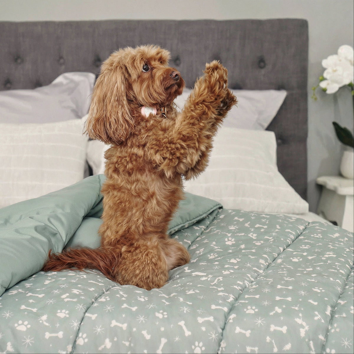 Doggy Doona® Christmas Edition