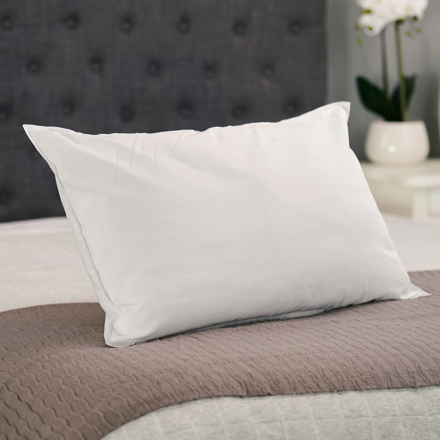 Sleep Tight Super Soft Microfibre Cover Medium Pillow